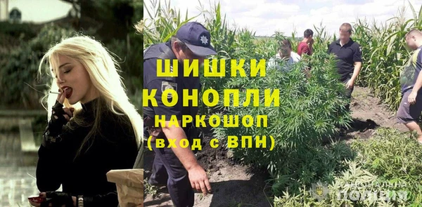 гидра Бородино