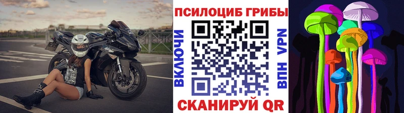 Галлюциногенные грибы прущие грибы  Горячий Ключ 